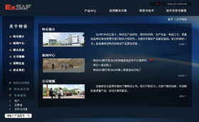 深圳特安電子與廣州企業(yè)網(wǎng)站服務(wù) 融合安全科技與數(shù)字營(yíng)銷的跨城合作